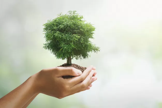 O Dia Mundial do Meio Ambiente